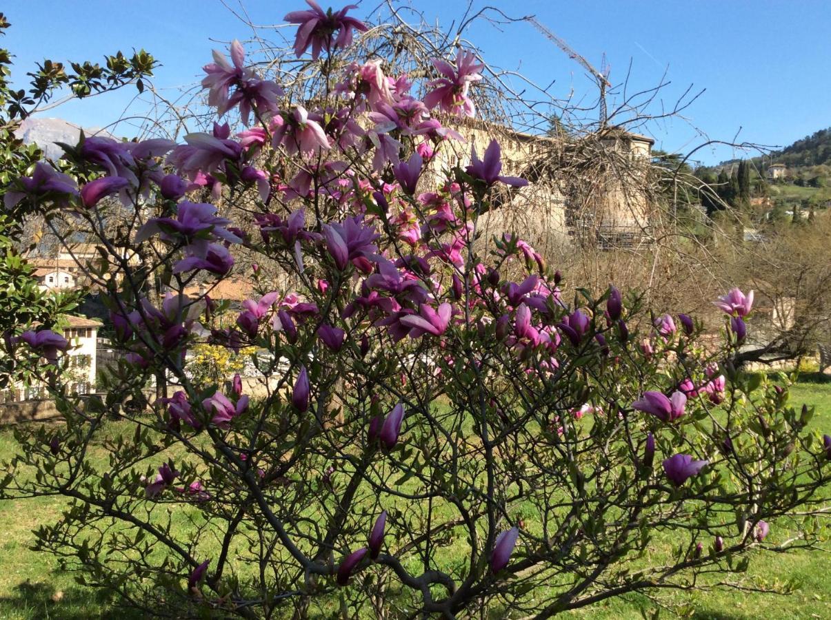Vista Castello Bed & Breakfast Rovereto  Luaran gambar